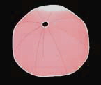 ralley110