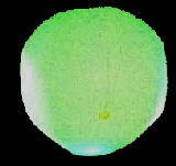 ralley111