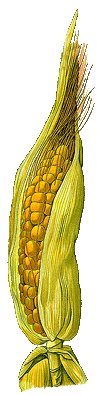 ralley71